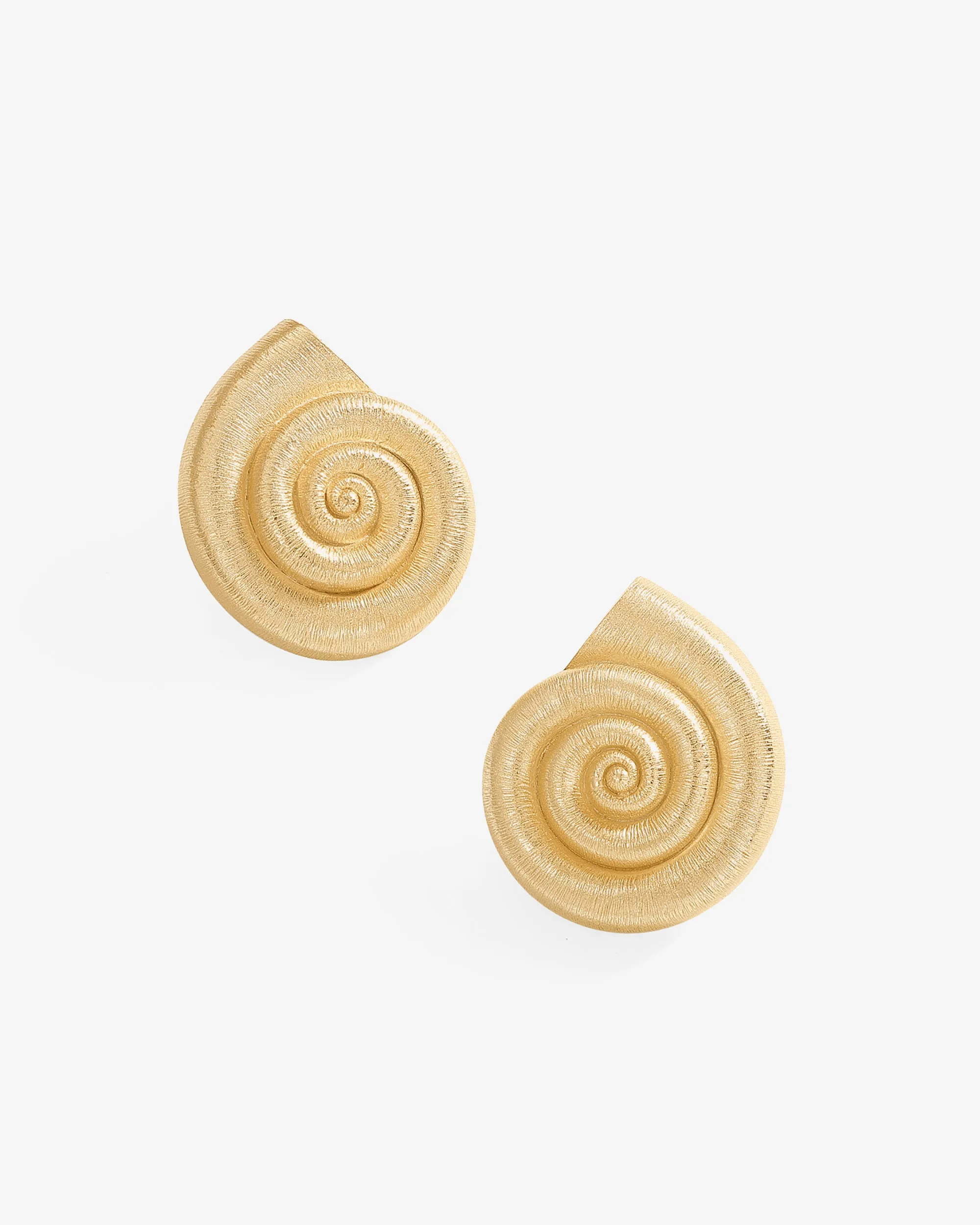 Conch Earrings