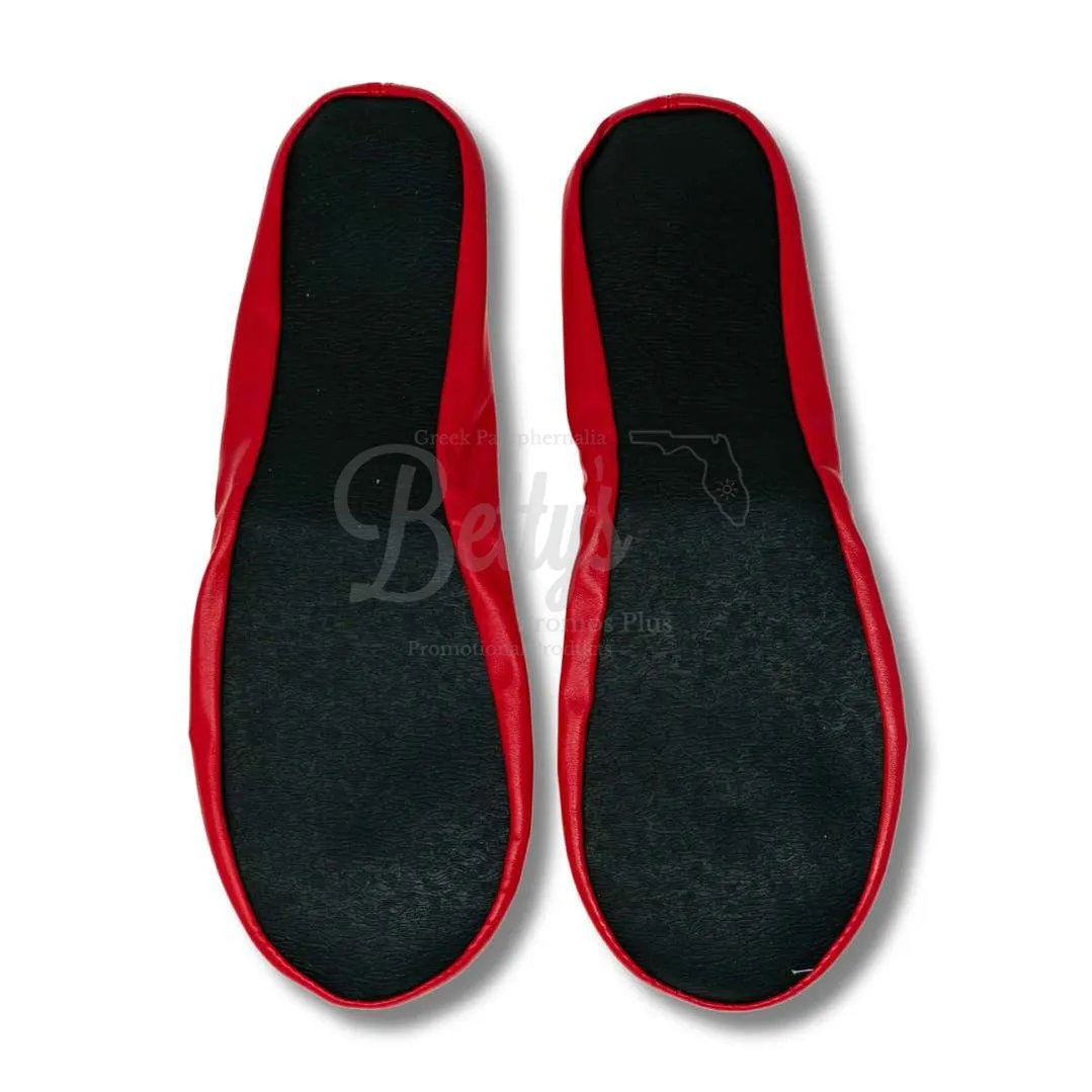 Delta Sigma Theta ΔΣΘ Printed Foldable Ballet Flats with Carrying Case